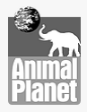 animalPlanet
